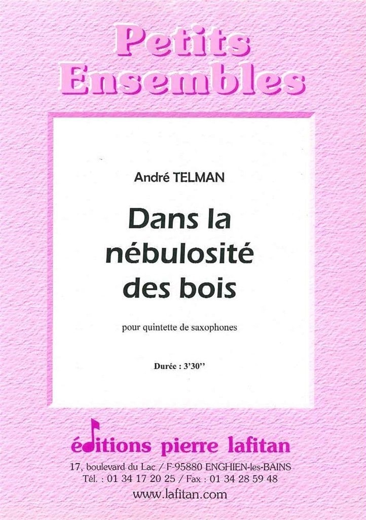 Dans la Nébulosité Des Bois